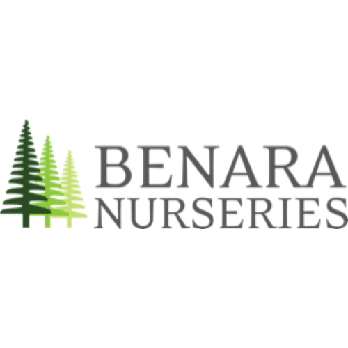 landscaping plant logo 3