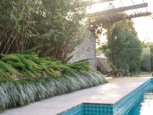 pool and landscaping transformation claremont